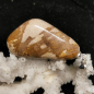 Preview: Versteinertes Holz Anhänger